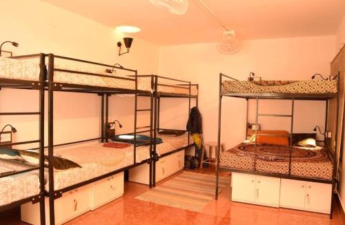 Koramangala Hostel | BE ANIMAL Hostel