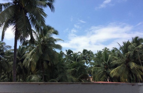 Mandrem Apartment | Beautiful Beachside Apartment - a minute walk from Mandrem beach