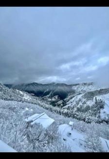Shimla House | Bhardwaj Home Stay