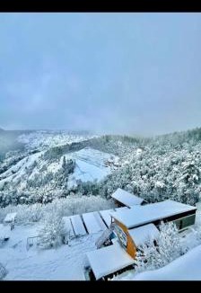 Shimla House | Bhardwaj Home Stay