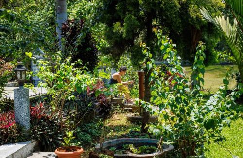 Devikolam Hotel | Birds Island Ayur-Yoga Retreat