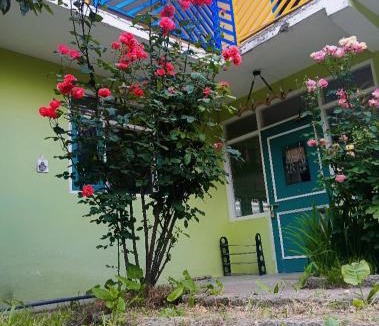 Khattalwada Hostel | Buddies Stay Café Community