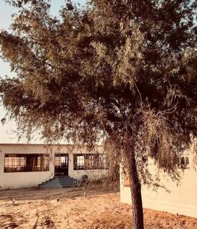 Bikaner Other | Camel Carvan Resort