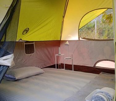 Karjat Other | Camp Agastya Karjat Bhimashankar
