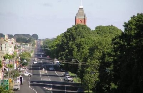 Camperdown Hotel | Camperdown Cascade Motel