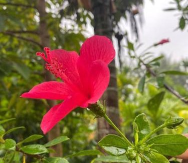Shrirangapattana Villa | Cheerful 2 bedroom Private Farmhouse stay