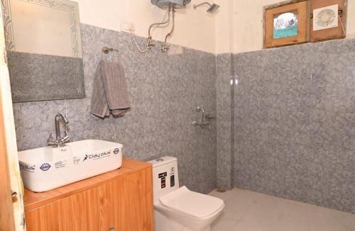 Bihar Cabin | Clifton Chapter Cottage Tirthan