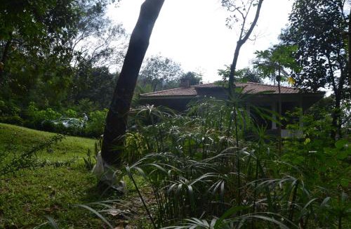 Elappara Cabin | Colonel's Retreat by The Almanac