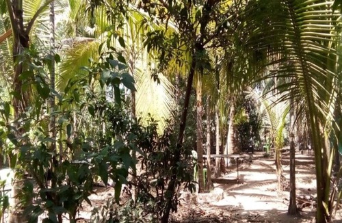 Nagaon Cottage | COOL & PLEASENT STAY IN NATUTRE @ DAKWE COTTAGE WITH DELICIOUS FOOD , NEAR BEACH