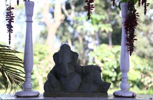 Virajpet House | Coorg Kolamotte