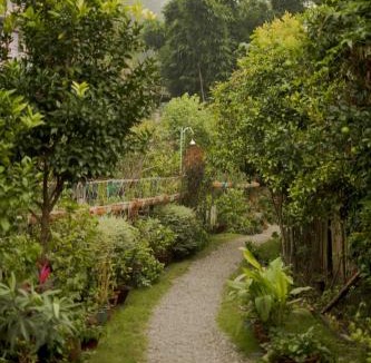 Naukuchiyatal Resort | Cottages @ Village