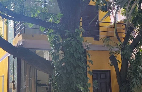 Bengaluru Villa | Cozy & homely bungalow surrounded by nature in the heart of the city.