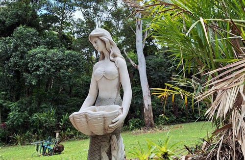 Cow Bay House | creek, beach, cassowarys, acreage, rainforest, swimming holes,pool table,parrots