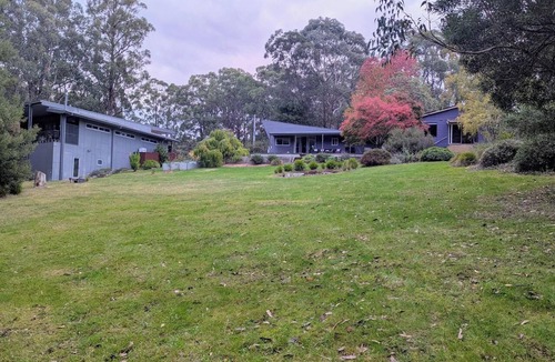 Forrest Cottage | Cute 2-bedroom cottage, opposite the MTB trailhead inForrest