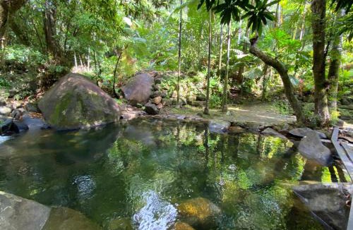 Diwan House | Daintree Secrets Rainforest Sanctuary