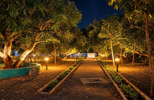 Talala Resort | Danak Farm
