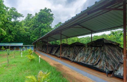 Dandeli Resort | Dandeli Green Adventure Resort