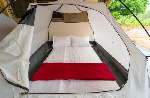 Timbholi Hotel | Dandeli Hill View Jungle Stay