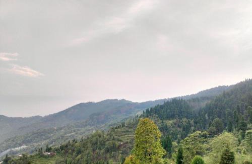 Darjeeling House | Dobhanay Homestay