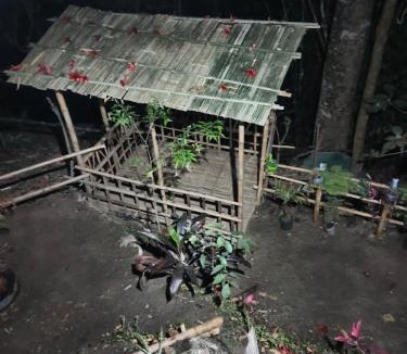 Turuk House | DSD Bomzon Homestay