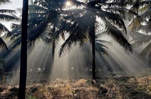 Devanahalli House | Eeshaavasya Homestay