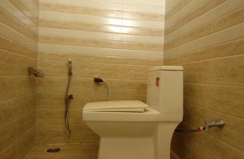 Pushkar Hostel | Elephant Pushkar