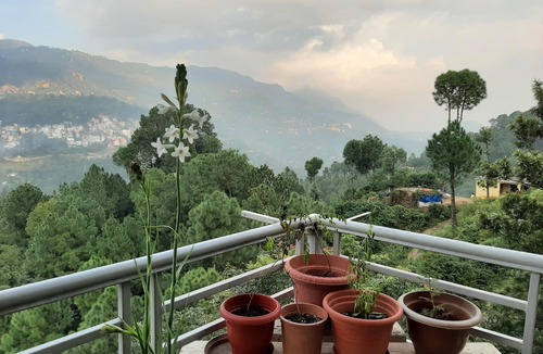 Kumarhatti House | Family-friendly Independent Studio Unit in Solan, Himachal Pradesh, India