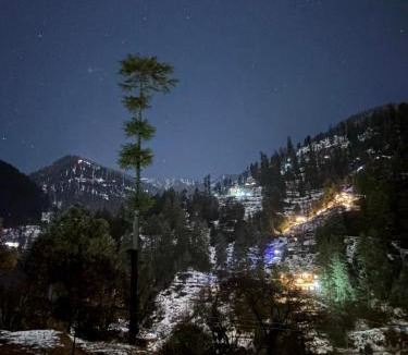 Jibhi Hotel | Flamingo Aur Maina Cafe and Stays