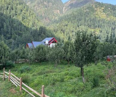 Jibhi Hotel | Flamingo Aur Maina Cafe and Stays