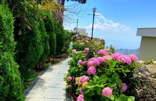 The Mall Road Resort | Fort Resorts Mussoorie