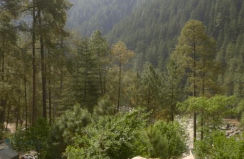 Kasol Bed & Breakfast | Free Culture, Chalal