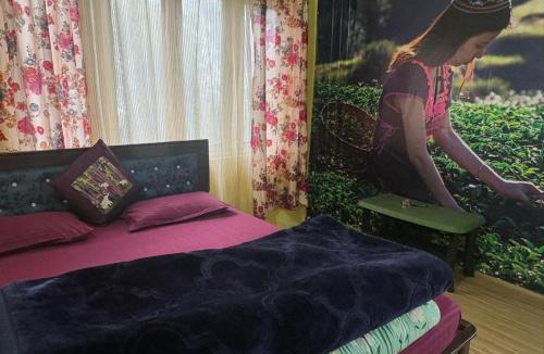 Darjeeling Apartment | Fun Viewpoint Homestay Darjeeling