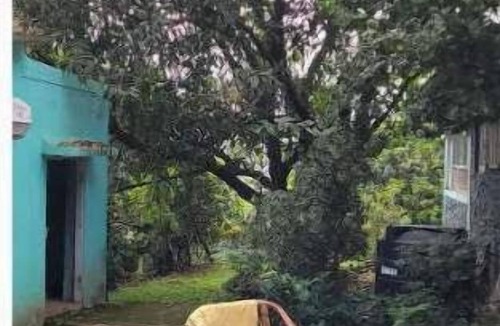 Versova House | Getaway to the greens