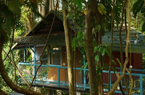 Lakkidi Resort | Glen Brooks Resorts