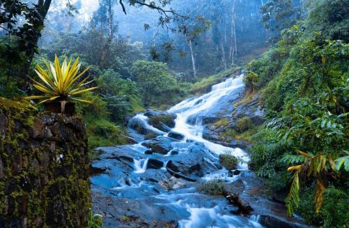 Devikolam Hotel | Goodland Falling Water Munnar