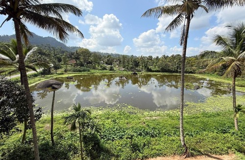 Kalpetta Apartment | Gorgeous 6-bedroom apartment in delightful Kalpetta North perfect for groups