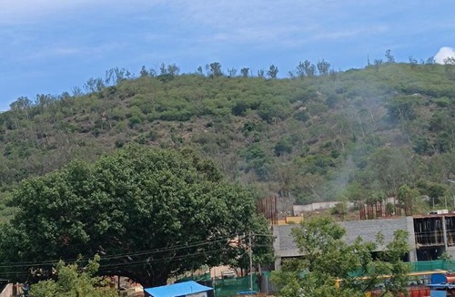 Mysore Hotel | Guru Recidency