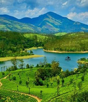 Udumbanchola Villa | Harsham Homestay