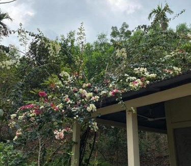 Sreemangal Upazila Resort | Hermitage Garden Resort - Sreemangal