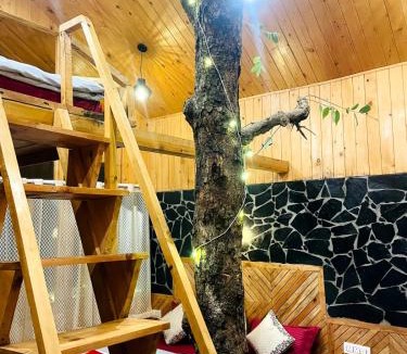 Jibhi Cabin | Hideaway Tree House