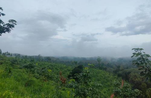 Sullia Cabin | Hillocks and The Spring