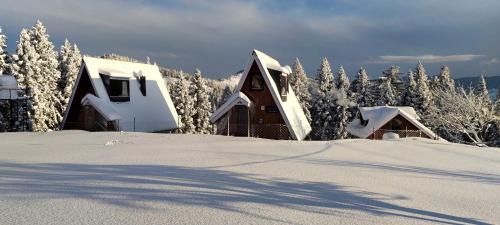 Rohru Ski Chalet | Himalaya Nature Home Stay