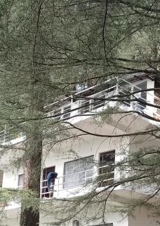Dharamshala Hostel | Himalayan Bed & Breakfast, Triund Trekking and Snowline Trekking Hostel