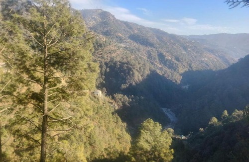 Shimla House | Homey tara Aanchal nature huts