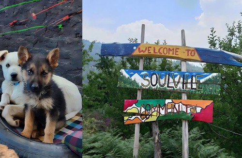 Manali Hostel | Hostel ∙ 8 guests