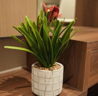 Baramati Hotel | Hotel Elite Executive Lodging