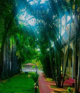 Tala Hotel | Hotel Jungle Palace Resort