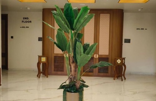 Somnath Hotel | hotel shlok inn