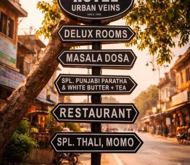 Panipat Hotel | Hotel Urban Veins