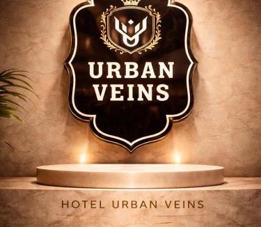 Panipat Hotel | Hotel Urban Veins